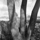 Illustration for article titled Ilford BW Disposable Camera